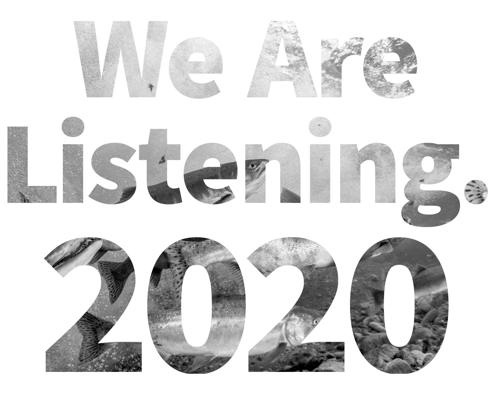 We are listening. 2020